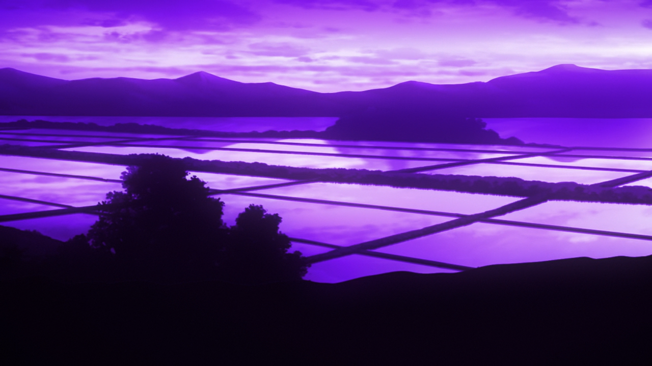violet skies.png